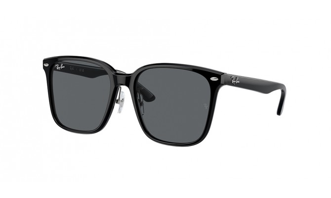 Ray-Ban RB2206D-901/87