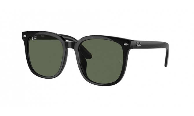 Ray-Ban RB4401D-601/71