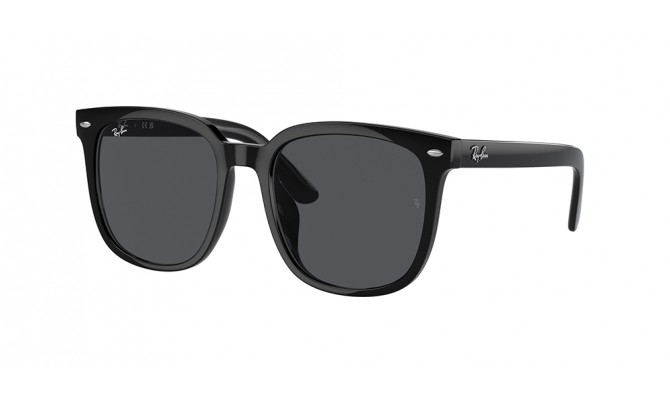 Ray-Ban RB4401D-601/87